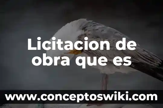 Destajo obra de drenaje que es 7 Licitacion de obra que es