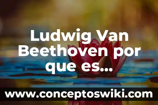 Que es la van en un proyecto 3 Ludwig Van Beethoven por que es importante