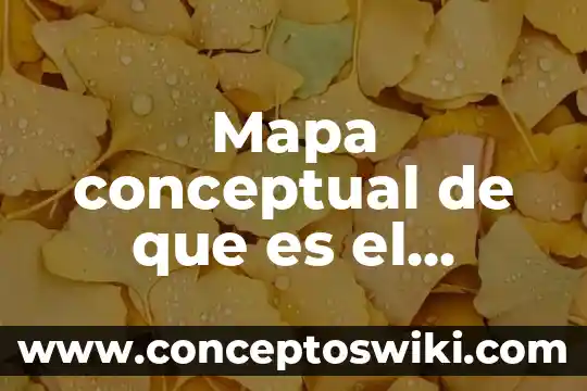 Que es un marco teorico o conceptual 3 Mapa conceptual de que es el proyecto de vida