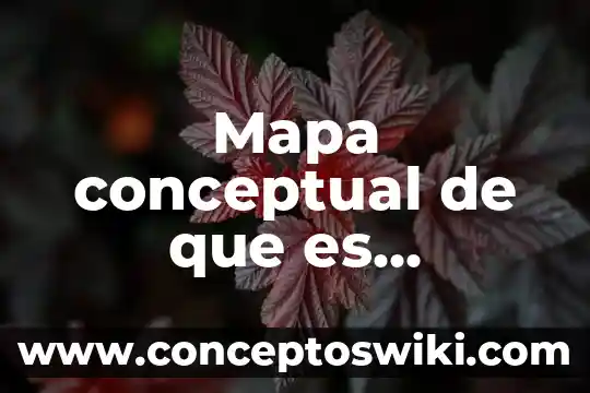 Que es el líquido cefalorraquídeo instituto de salud 3 Mapa conceptual de que es exposicion