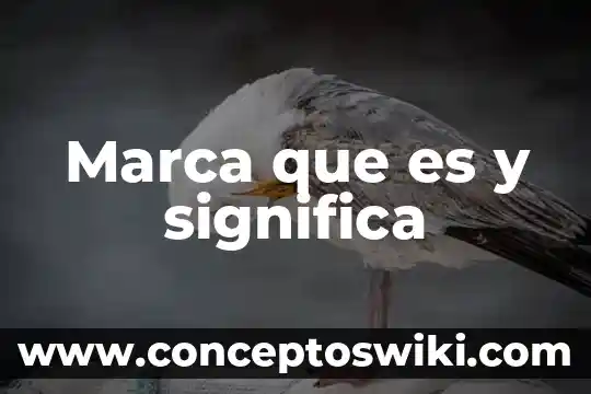 De que es la marca repsol 5 Marca que es y significa