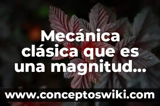 Qué es la magnitud de un número 6 Mecánica clásica que es una magnitud y sistema de unidad