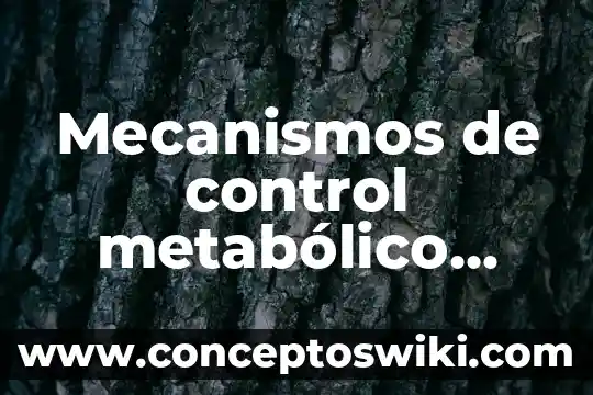 Que es la dependencia en un sistema de control 3 Mecanismos de control metabólico que es