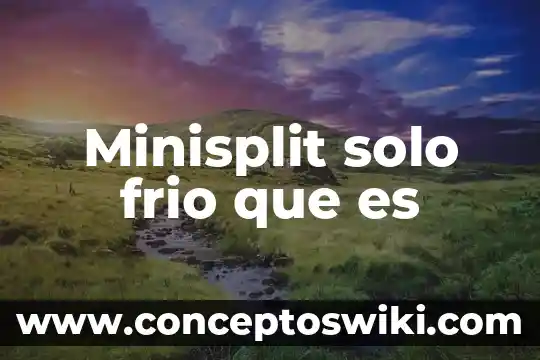 Que es amar no es sólo sexo 4 Minisplit solo frio que es