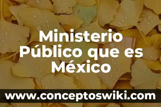 Que es una fiscalía del ministerio público 3 Ministerio Público que es México