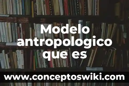 Que es interfaz en modelo en espiral 8 Modelo antropologico que es
