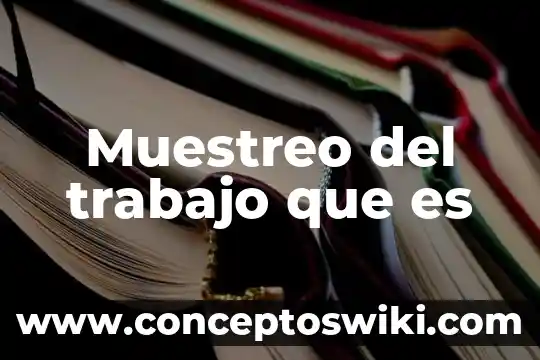 Que es la racionalidad del trabajo social 5 Muestreo del trabajo que es