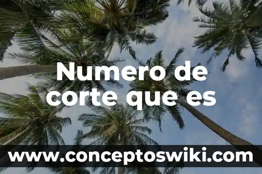 Qué es número progresivo de instrumentos 7 Numero de corte que es
