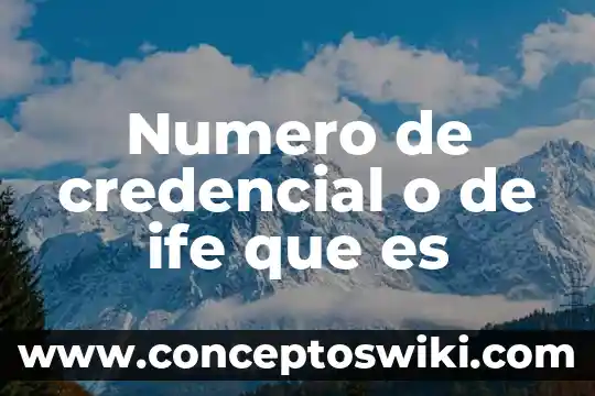 Qué es un número real y entero 6 Numero de credencial o de ife que es
