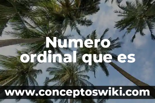 Qué es en número la K y M en Instagram 8 Numero ordinal que es