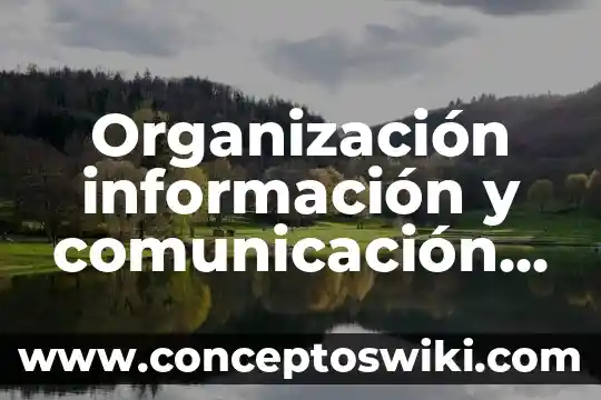 Que es sistemas de informacion geografico 4 Organización información y comunicación que es