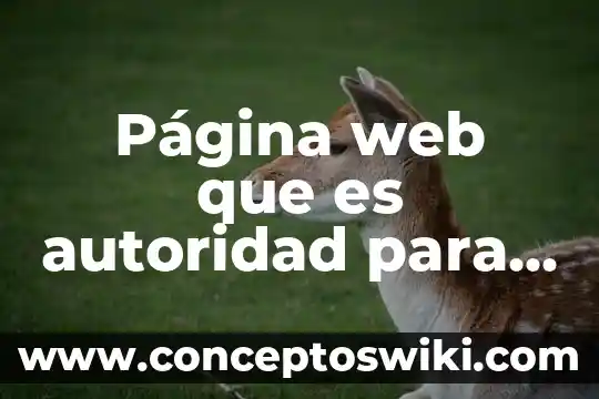 Qué es una autoridad concedente 3 Página web que es autoridad para los niños que significa