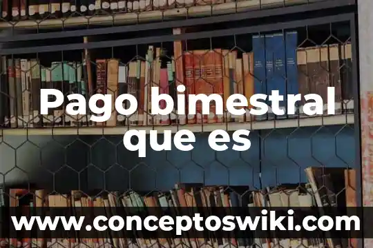 Que es un vector de pago 6 Pago bimestral que es