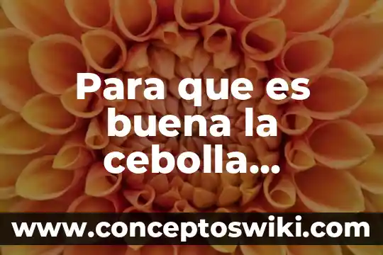 Para que es buena la planta de lavanda 8 Para que es buena la cebolla cambray