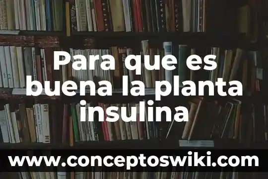 Que es la ingenieria de la planta 8 Para que es buena la planta insulina