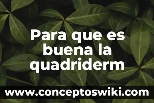Para que es buena la pepa de sandia 7 Para que es buena la quadriderm