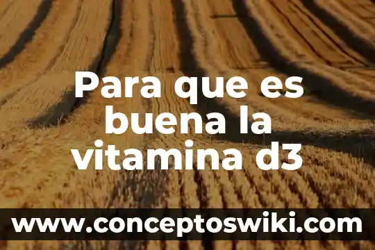 Para que es buena la pepa de sandia 3 Para que es buena la vitamina d3