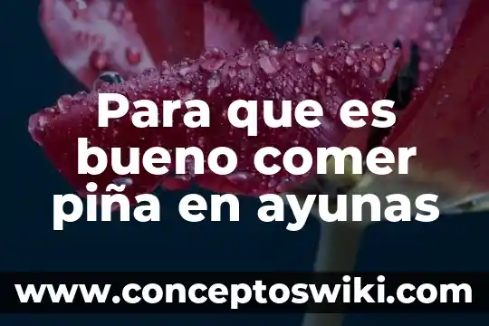 Por que es bueno comer en clase 3 Para que es bueno comer piña en ayunas