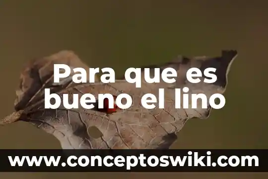 Que es bueno para la insolación remedios caseros 3 Para que es bueno el lino