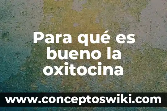 Que es la oxitocina funciones 4 Para qué es bueno la oxitocina