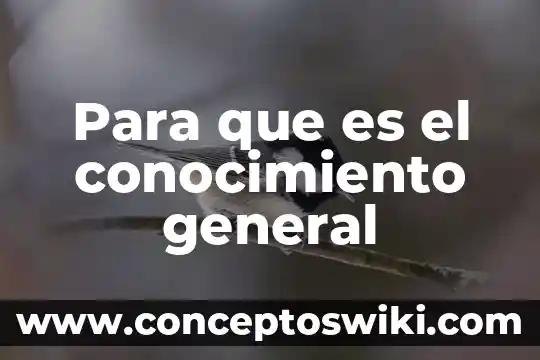 Que es conocimiento y su relacion con comunicacion 6 Para que es el conocimiento general
