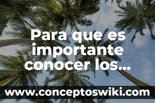 Qué es una atribución interna 6 Para que es importante conocer los tipos de noviazgo
