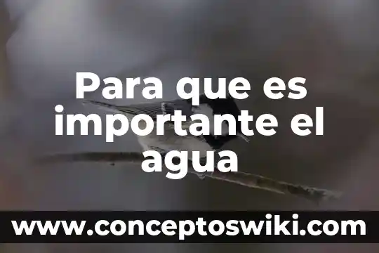¿Por qué es importante la administración de personal? 5 Para que es importante el agua