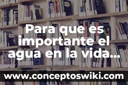 Que es segura renta diaria 8 Para que es importante el agua en la vida diaria