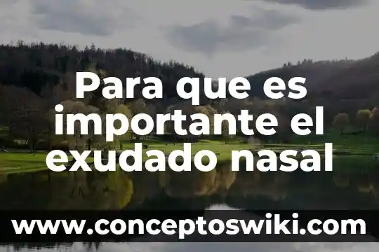 Que es bueno para la congestión nasal natural 4 Para que es importante el exudado nasal