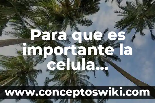 ¿Que es dna en una celula? 6 Para que es importante la celula eucariota