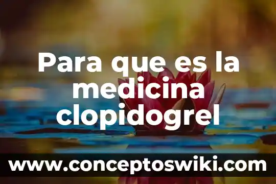 Smg medicina que es 4 Para que es la medicina clopidogrel