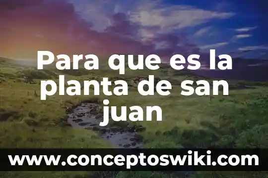 Que es mas economico san san vicente o sanitas 3 Para que es la planta de san juan