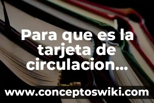 Qué es el número de acciones en circulación 5 Para que es la tarjeta de circulacion complementaria
