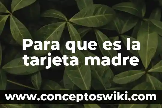 Que es el nombre en la tarjeta en amazon 5 Para que es la tarjeta madre