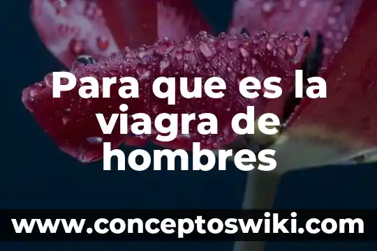 Que es la circuncisión en hombres adultos 4 Para que es la viagra de hombres