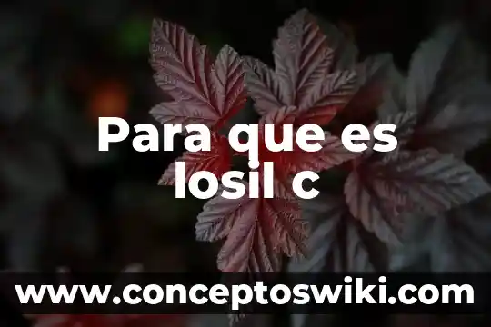 Que es una camara aps c 6 Para que es losil c