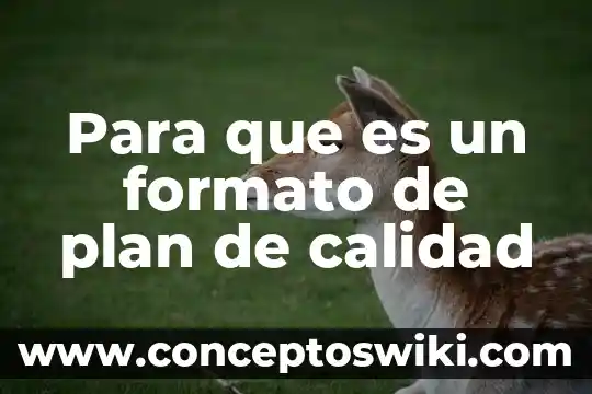Que es un plan de recuperacion 3 Para que es un formato de plan de calidad