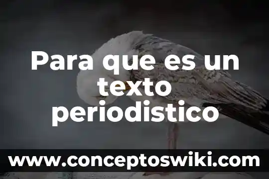 Que es neurodesarrollo concepto 4 Para que es un texto periodistico