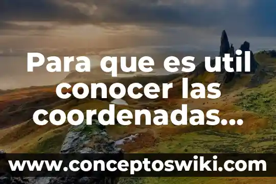 Que es sistemas de coordenadas absolutas e incrementales 8 Para que es util conocer las coordenadas geograficas