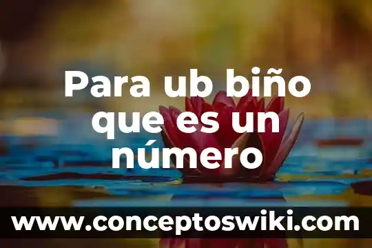 Que es el numero de prandtl termodinámica 4 Para ub biño que es un número