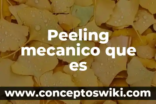 Que es el sens ventilador mecanico 3 Peeling mecanico que es