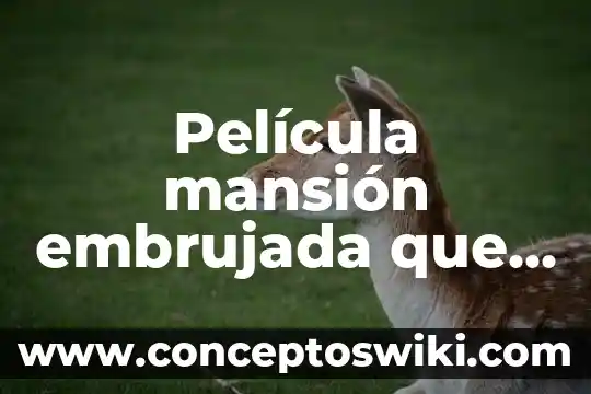 Que es un cargo en un hotel 7 Película mansión embrujada que es hotel que mueren dos niñas