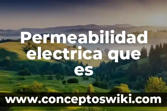 Que es una caracteristica electrica 5 Permeabilidad electrica que es