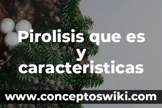 Que es innovacion y sus caracteristicas 5 Pirolisis que es y caracteristicas