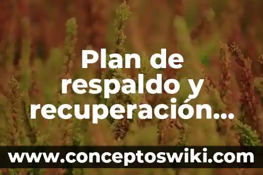 Que es la tasa de recuperación administrativa 4 Plan de respaldo y recuperación que es