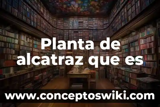 Qué es un toporingo planta o animal 6 Planta de alcatraz que es