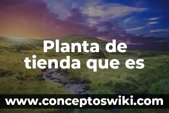 Que es una relacion en una tienda 5 Planta de tienda que es