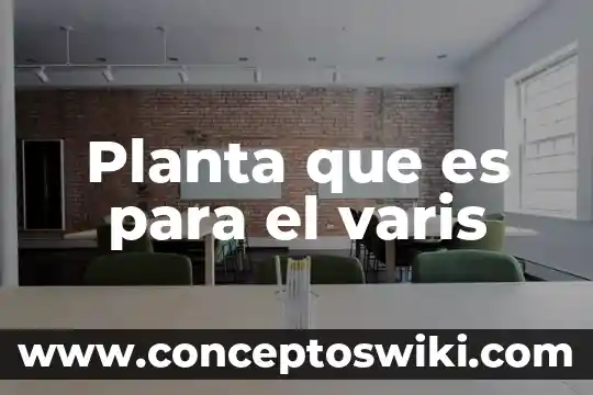 Para que es buena la planta insulina 7 Planta que es para el varis