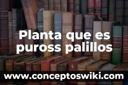 Que es el tallo de una planta y sus funciones 8 Planta que es puross palillos
