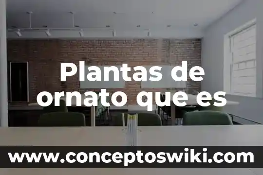 Que es un regulador de crecimiento en plantas 3 Plantas de ornato que es